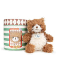 Ruthie the mini cat teddy