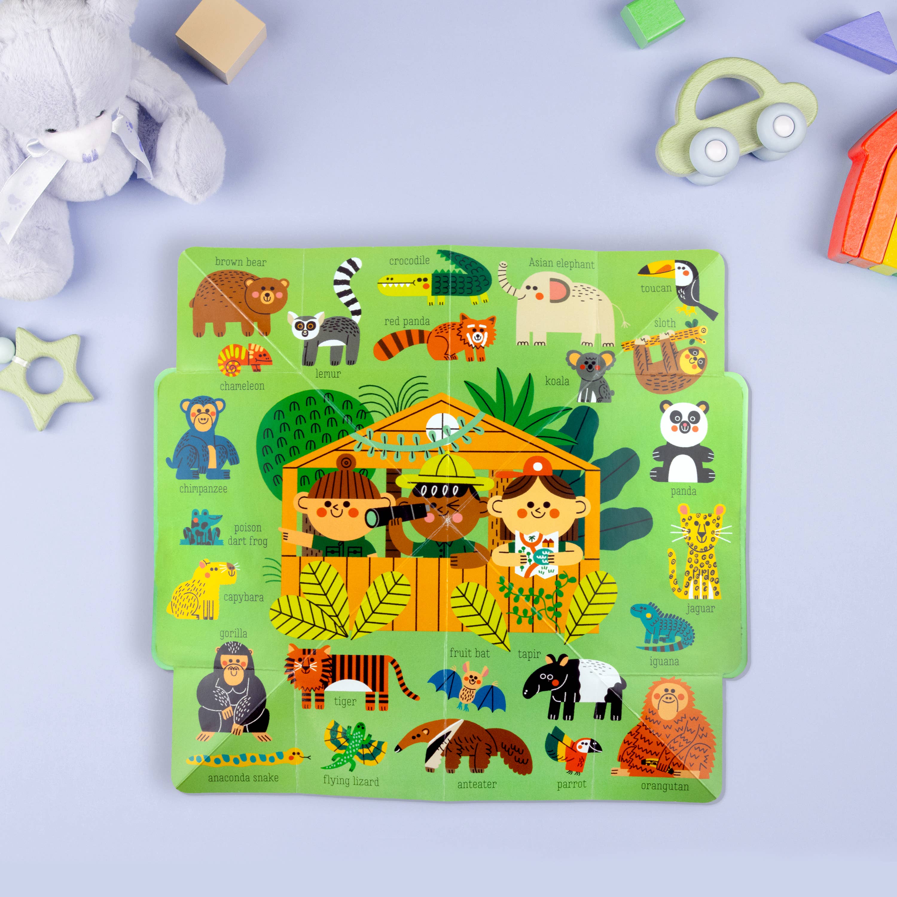 Pop Out Mega Pictures Animals First Words Book