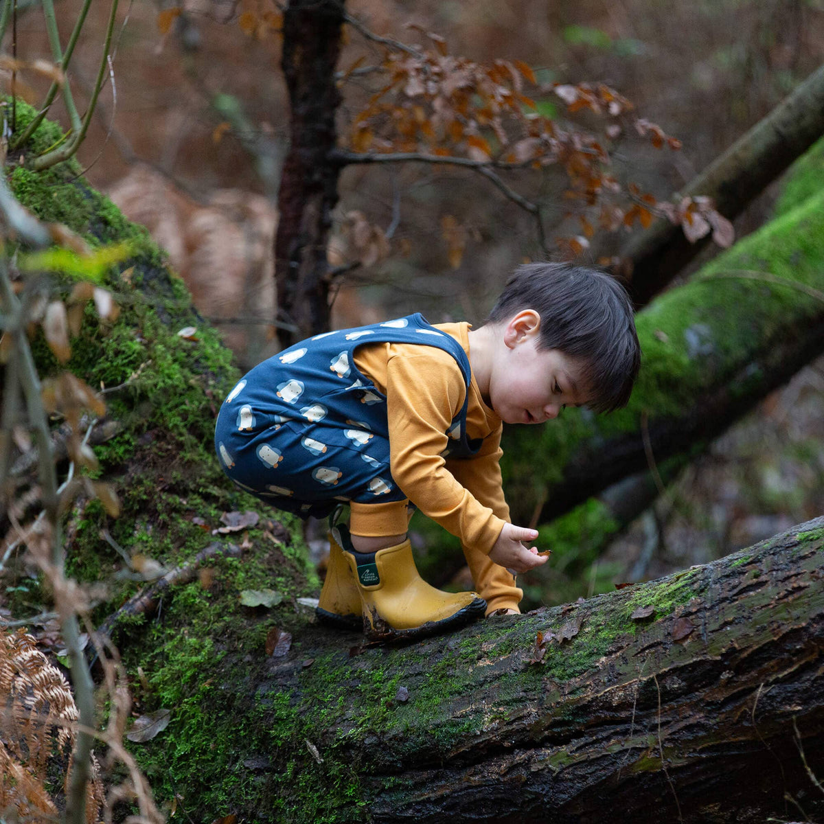 Little Green Radicals - Blue Penguins Everyday Dungarees