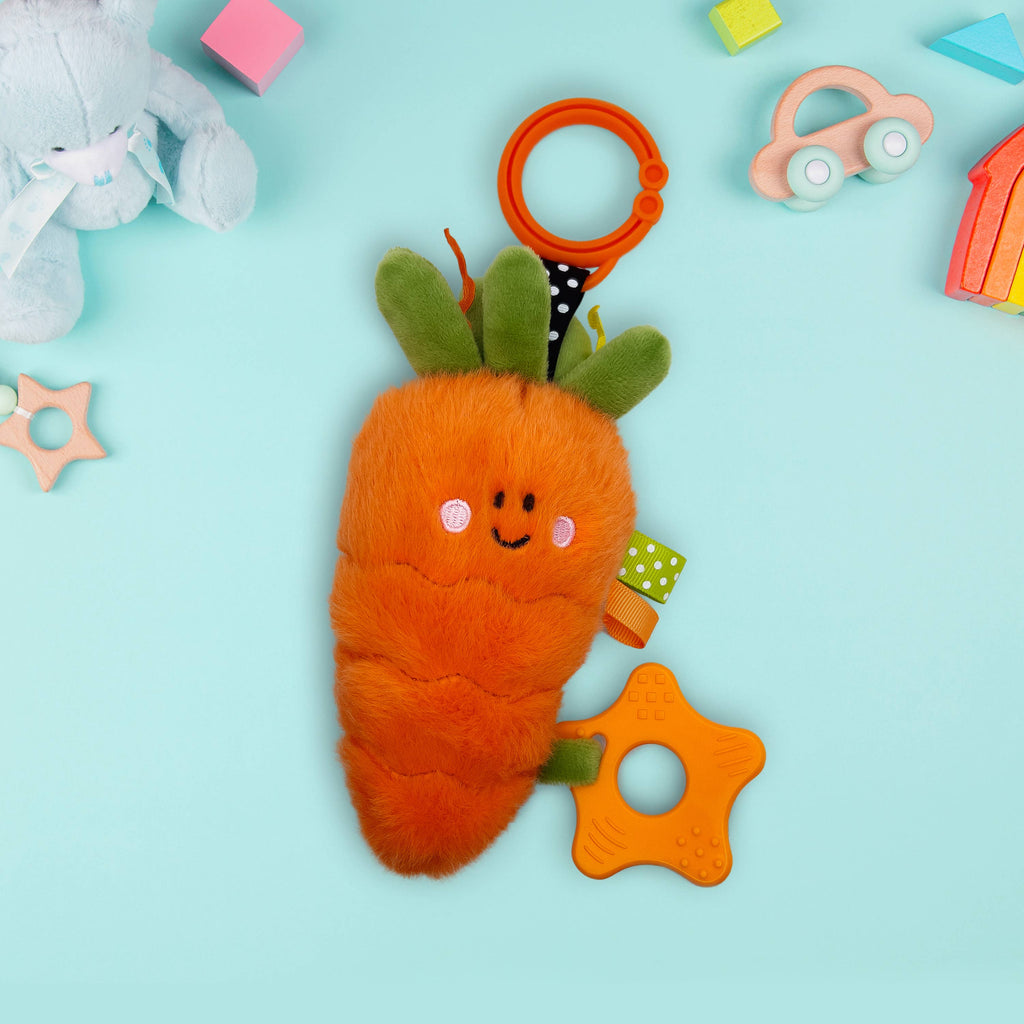 Squish and Snugg On The Go Carrot
