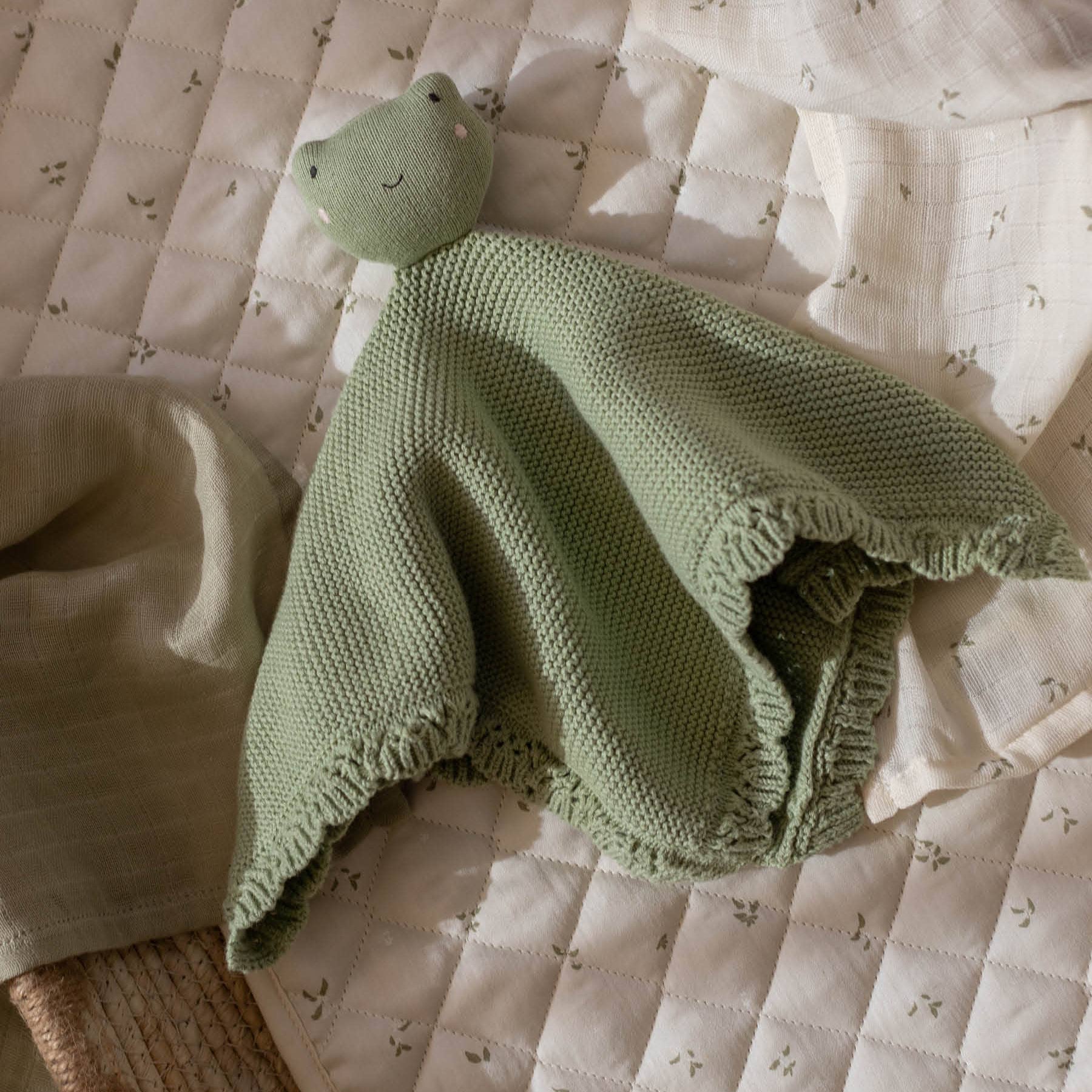 Cuddle Cloth - Friendly Frog