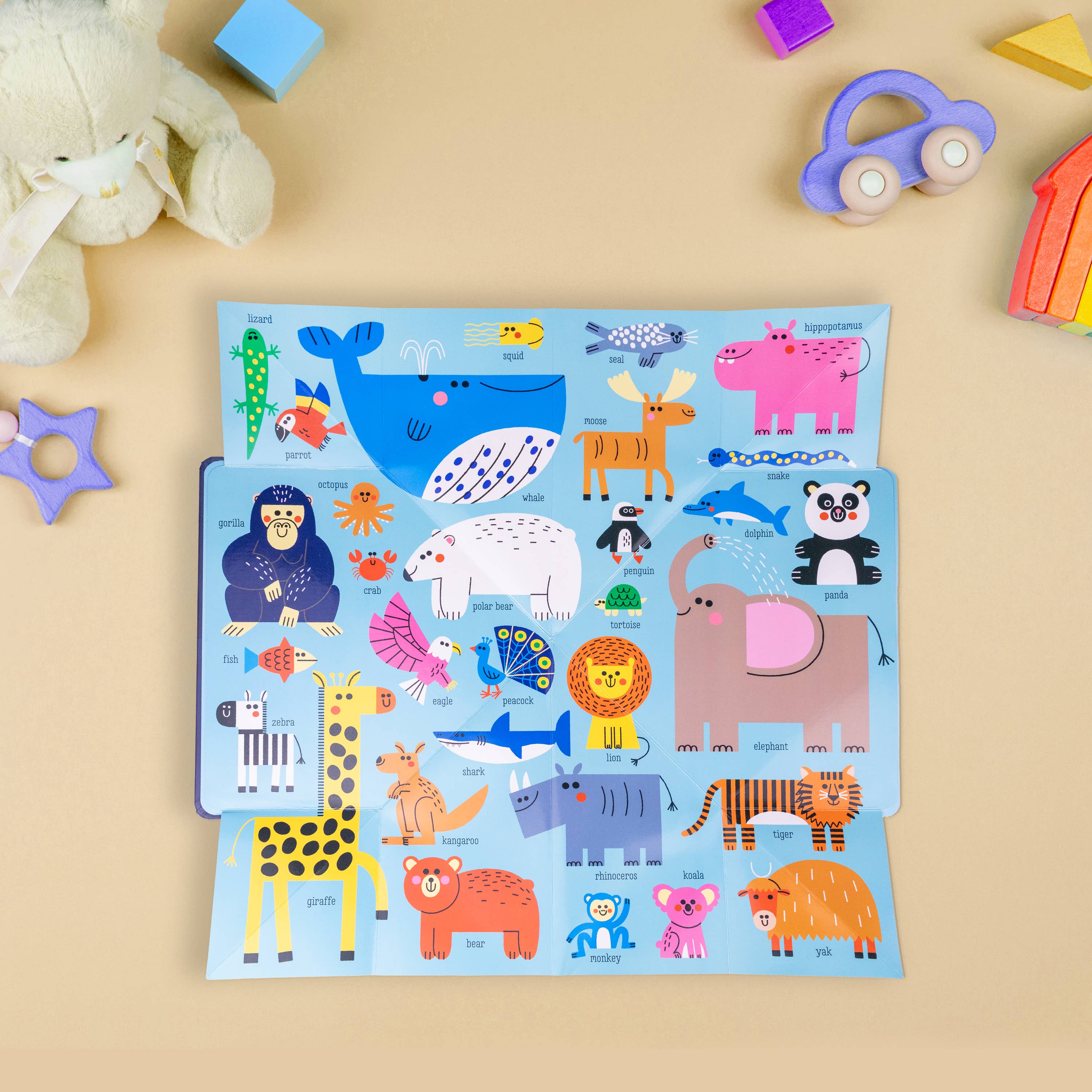 Pop Out Mega Pictures First Words Book