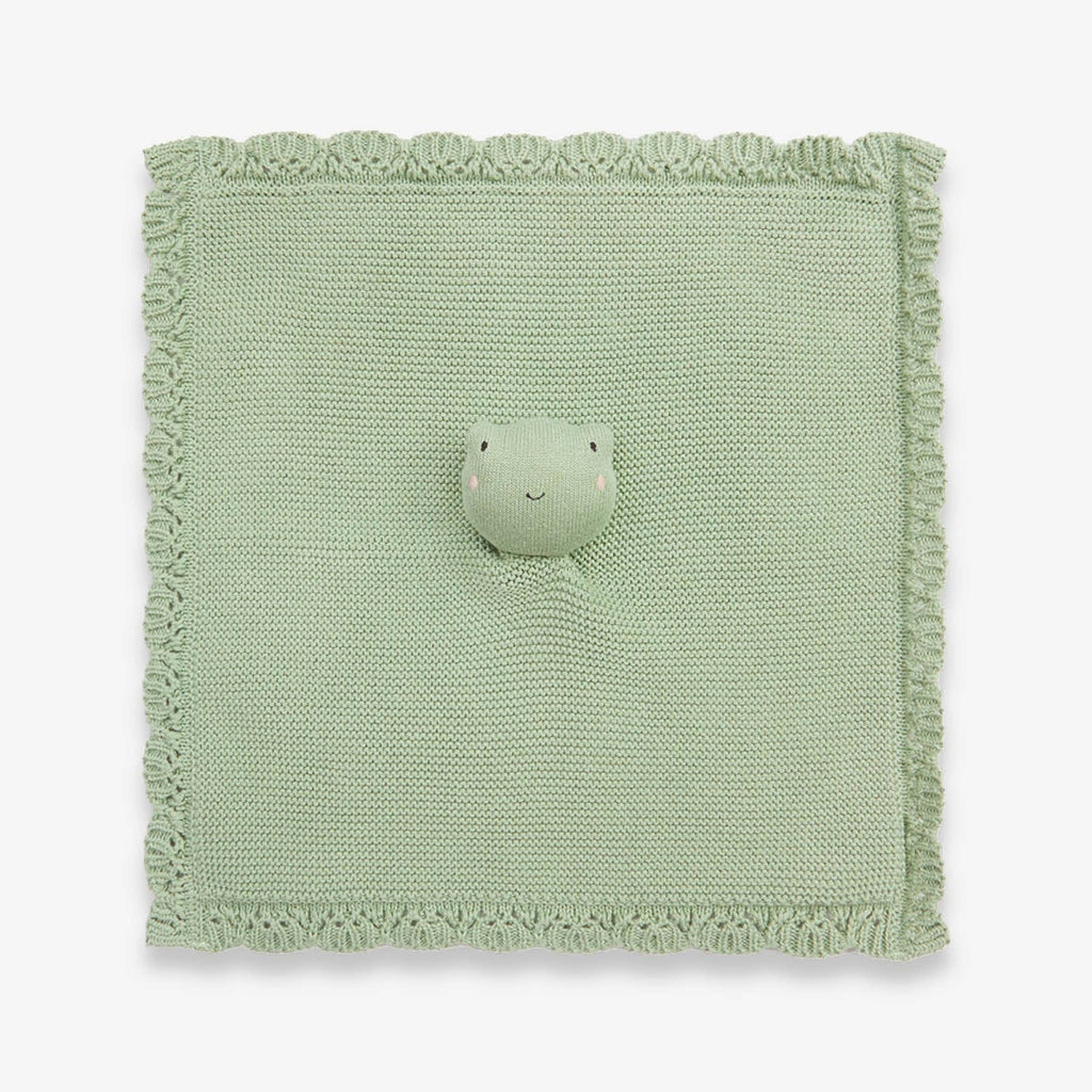 Cuddle Cloth - Friendly Frog